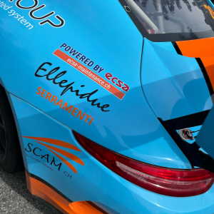 Porsche-content_LUBS_300x300